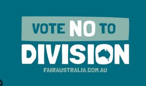 Vote No to Parliament Australia Viral Video Link